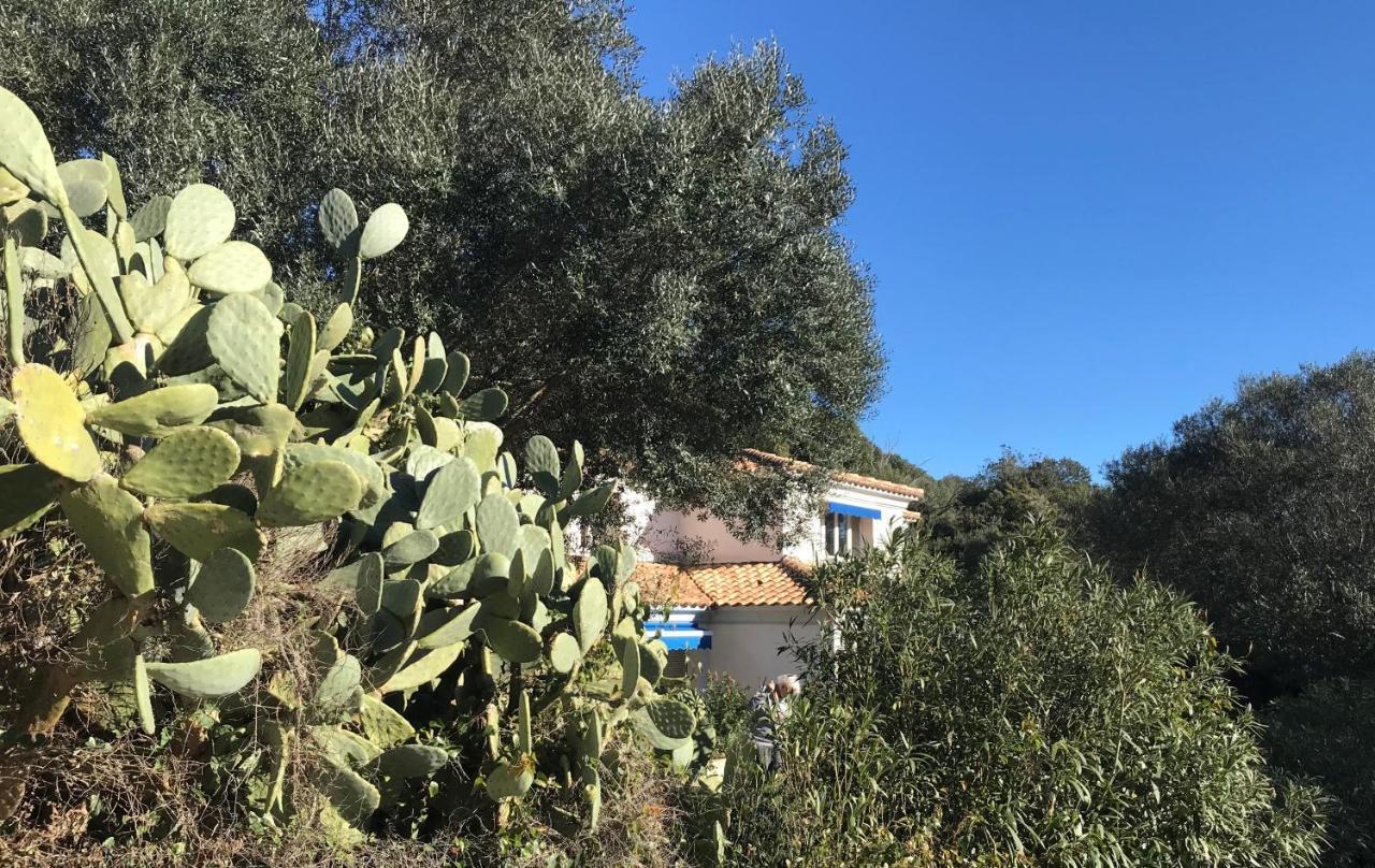 Residence Hoteliere A Trama Bonifacio  Eksteriør billede
